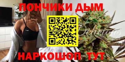 прущие грибы Славгород